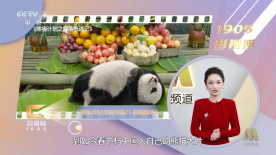 99精品国产在这里白浆